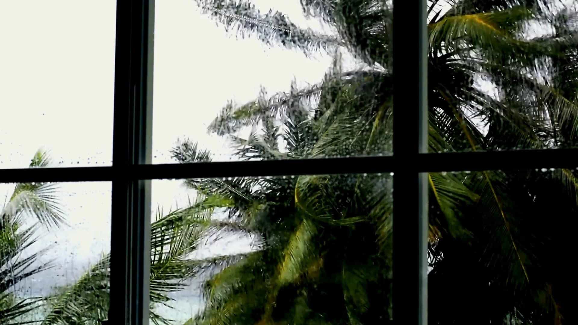 Impact Windows & Doors