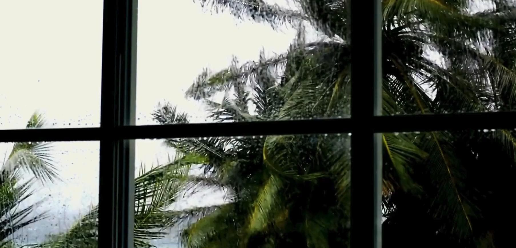 Florida Impact Windows and Doors